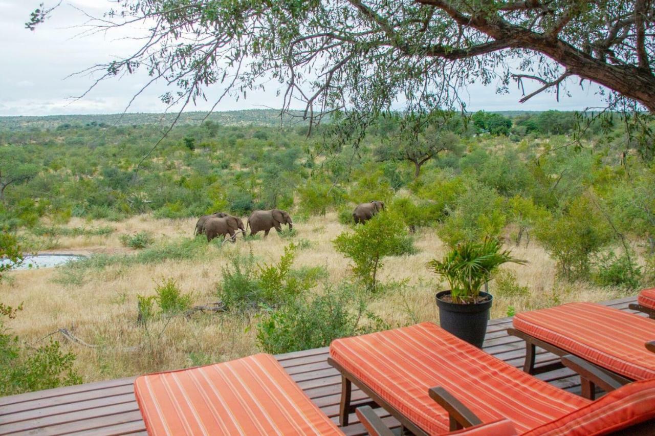 Casart Game Lodge Grietjie Game Reserve Экстерьер фото