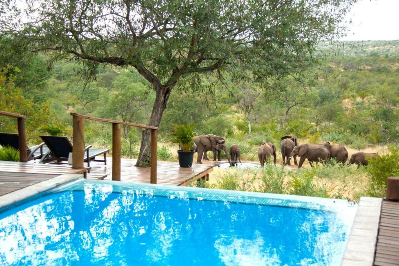Casart Game Lodge Grietjie Game Reserve Экстерьер фото